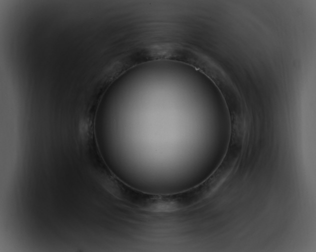 X0000100780601200806191304