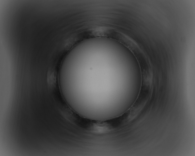 X0000100780603200806191304