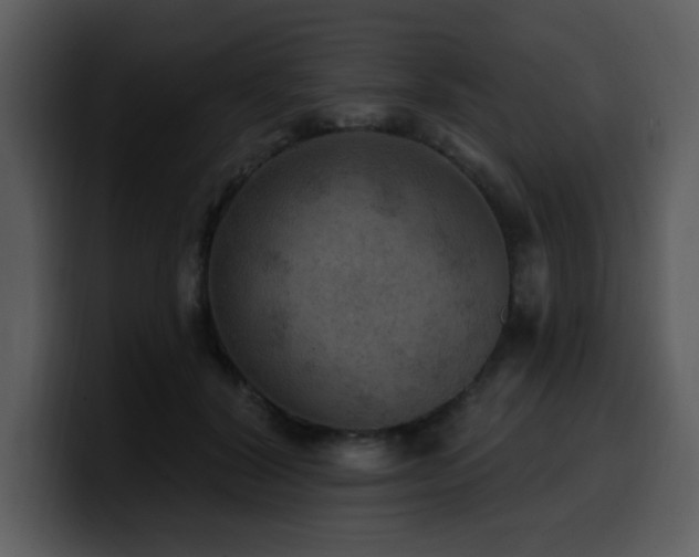 X0000100780604200806191304