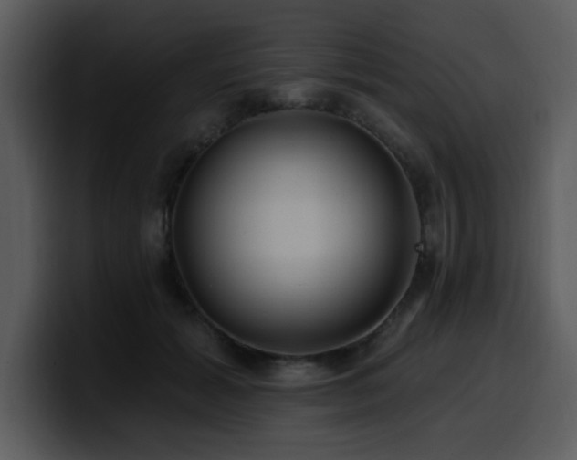 X0000100780605200806191304