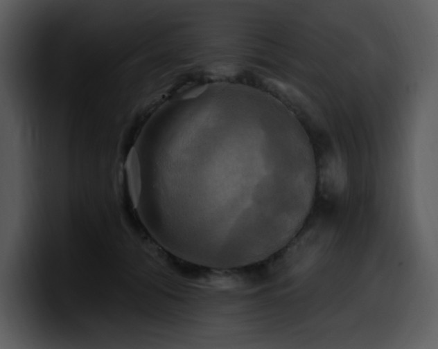 X0000100780608200806191304