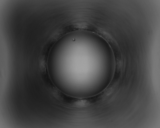 X0000100780609200806191304