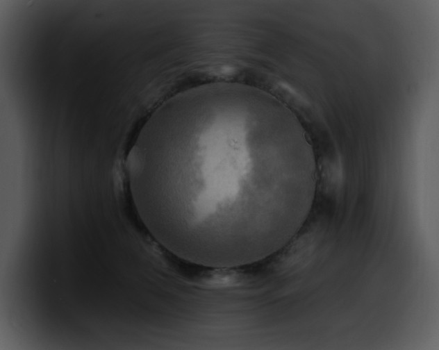 X0000100780612200806191304