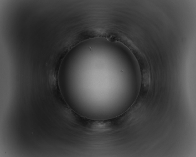 X0000100780613200806191304