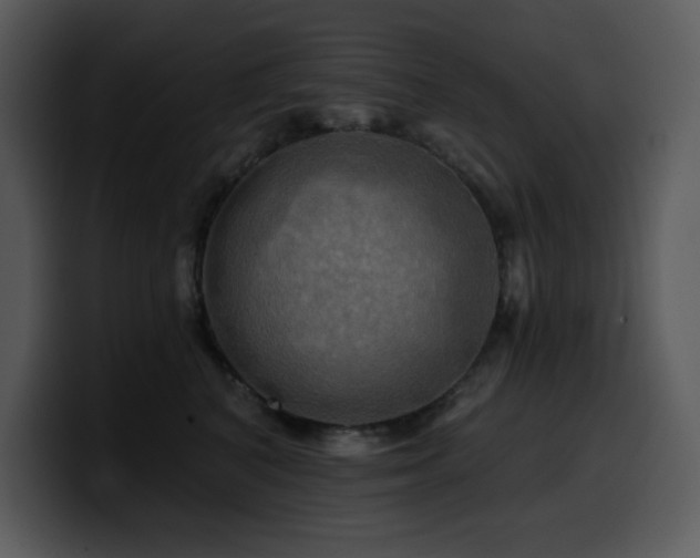 X0000100780616200806191304