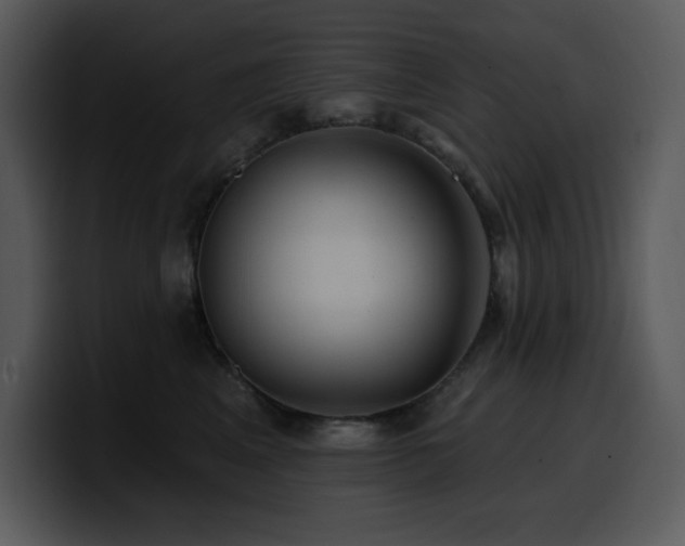 X0000100780617200806191304