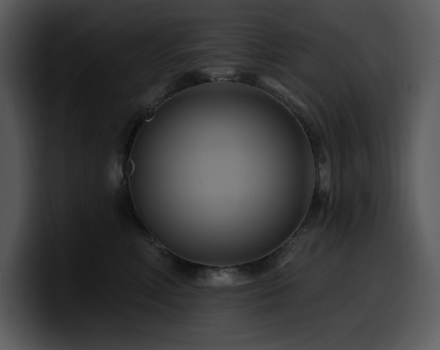 X0000100780618200806191304