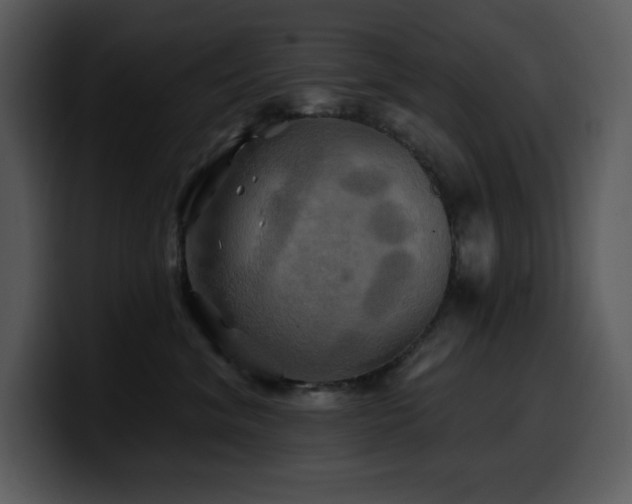 X0000100780620200806191304