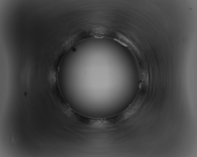 X0000100780621200806191304