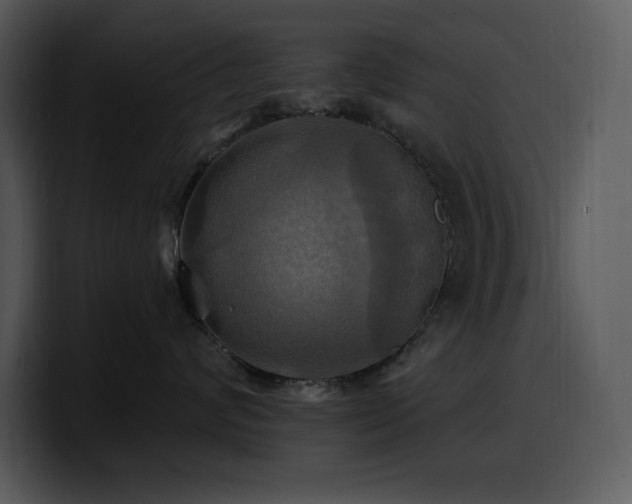 X0000100780624200806191304