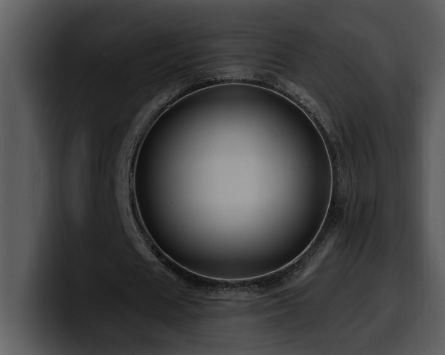 X0000100780625200806191303