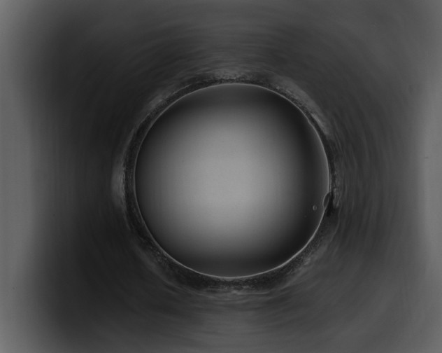 X0000100780626200806191303