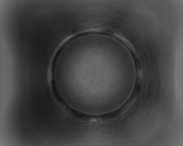 X0000100780628200806191303