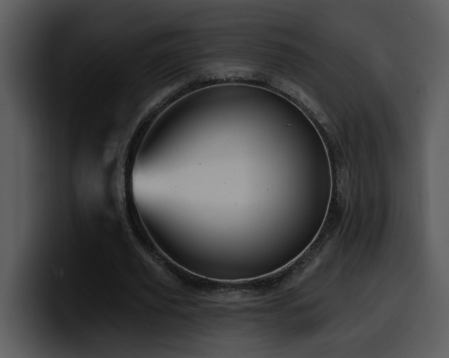 X0000100780629200806191303