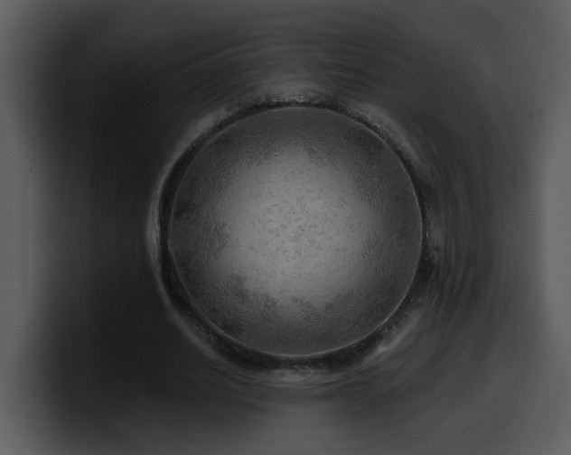 X0000100780630200806191303