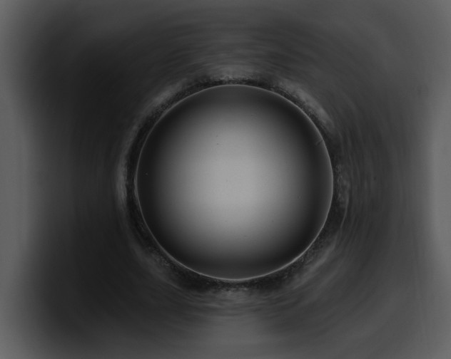 X0000100780631200806191303