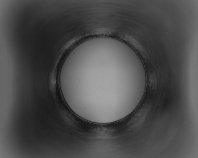 X0000100780632200806191303