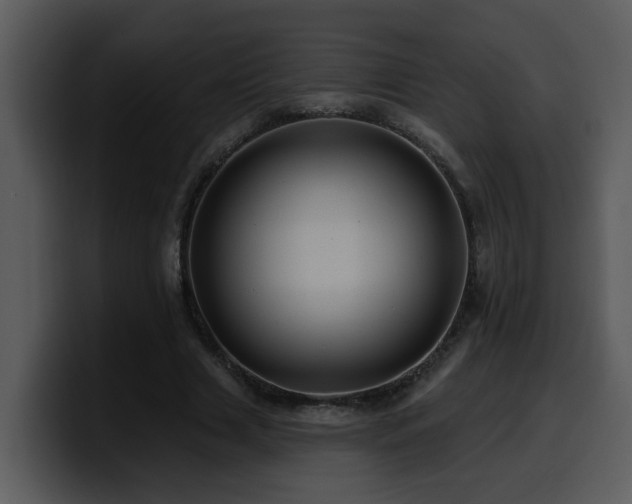 X0000100780633200806191303