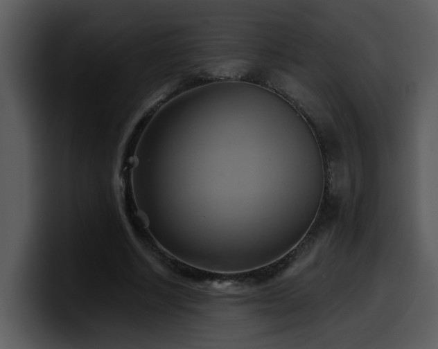 X0000100780634200806191303