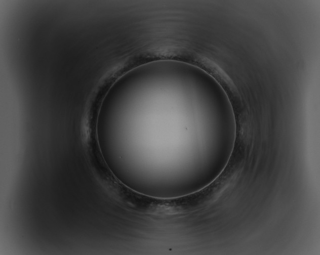 X0000100780635200806191303