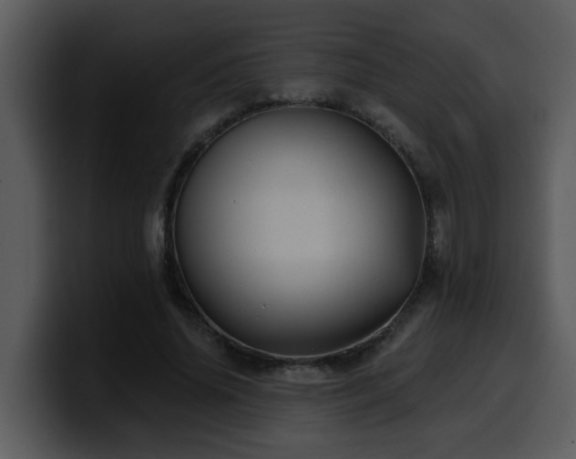 X0000100780636200806191303