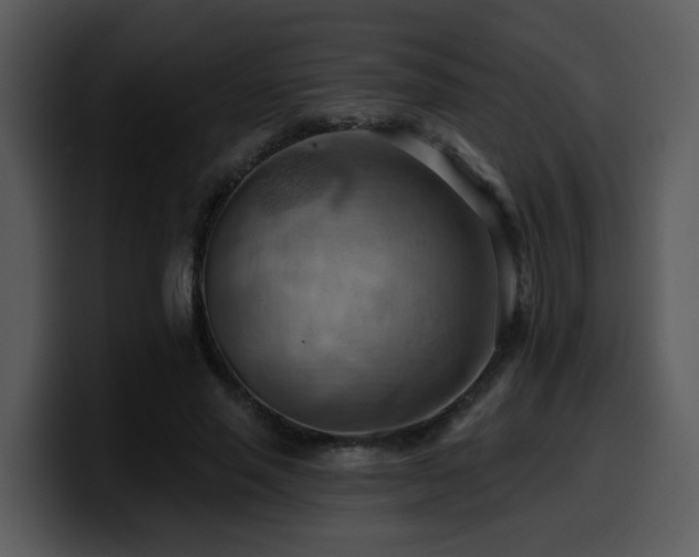 X0000100780637200806191303