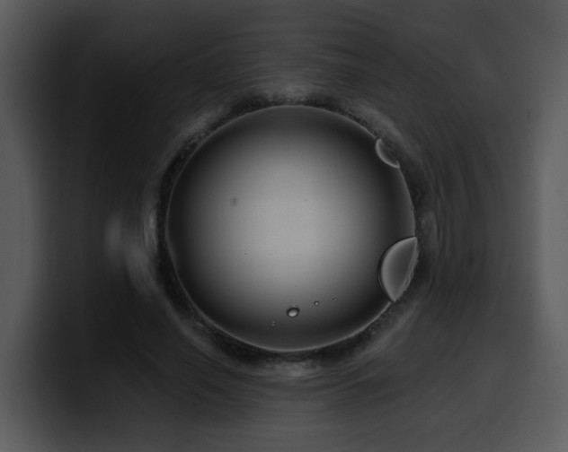 X0000100780638200806191303