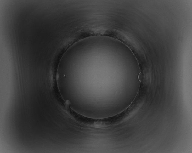 X0000100780641200806191303