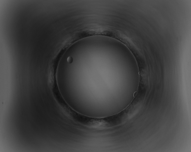 X0000100780642200806191303