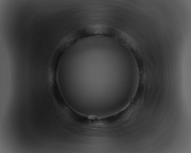 X0000100780643200806191303