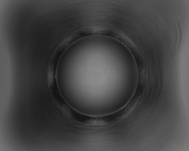 X0000100780644200806191303