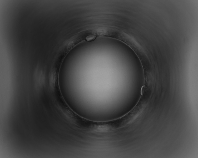 X0000100780645200806191303