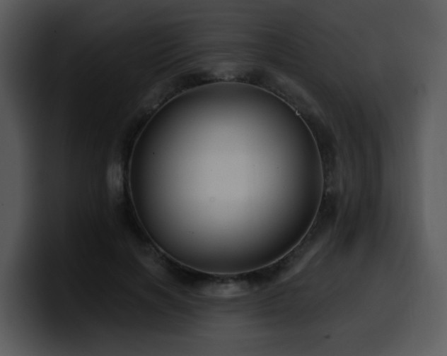 X0000100780646200806191303