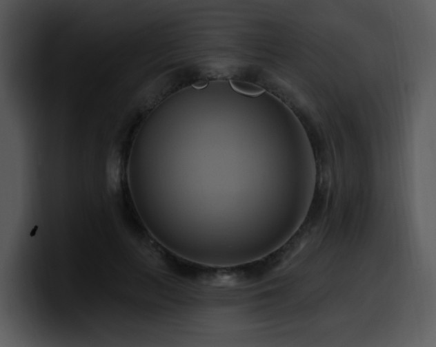 X0000100780647200806191303