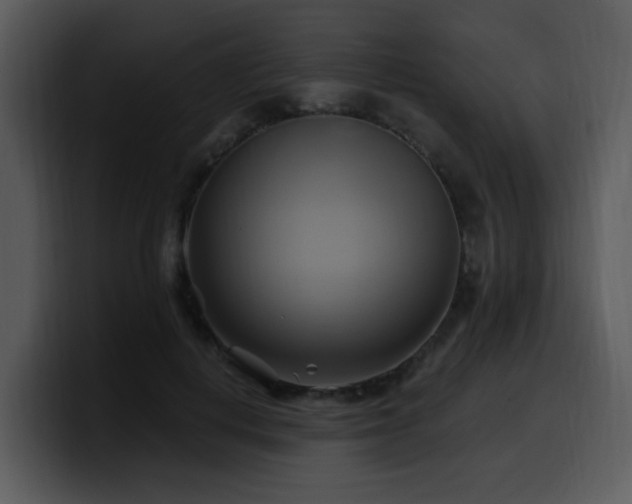 X0000100780648200806191303