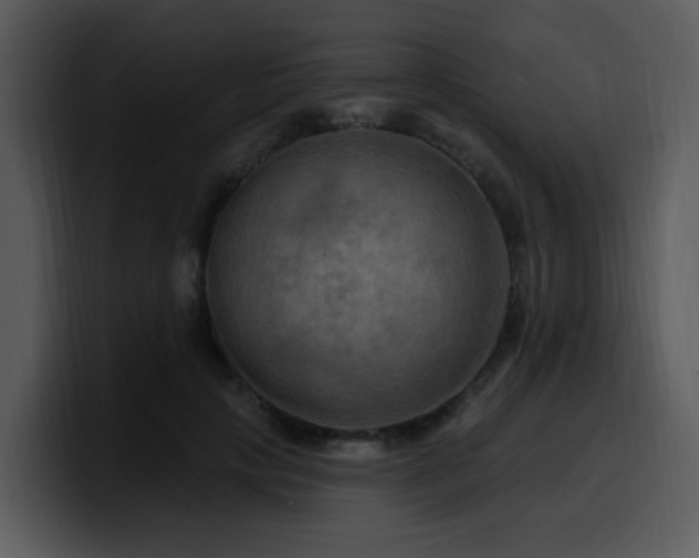 X0000100780649200806191303