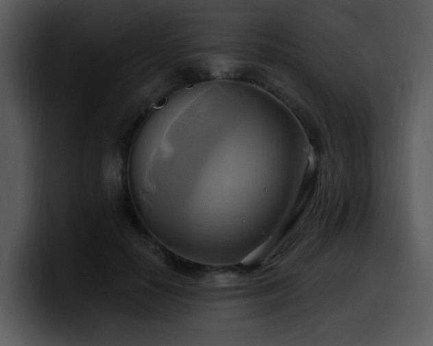 X0000100780650200806191303