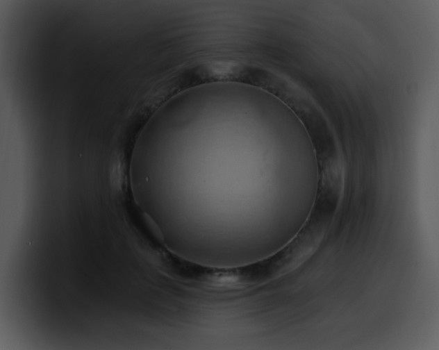 X0000100780651200806191303