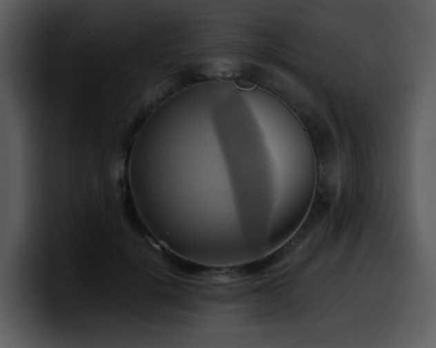 X0000100780652200806191303