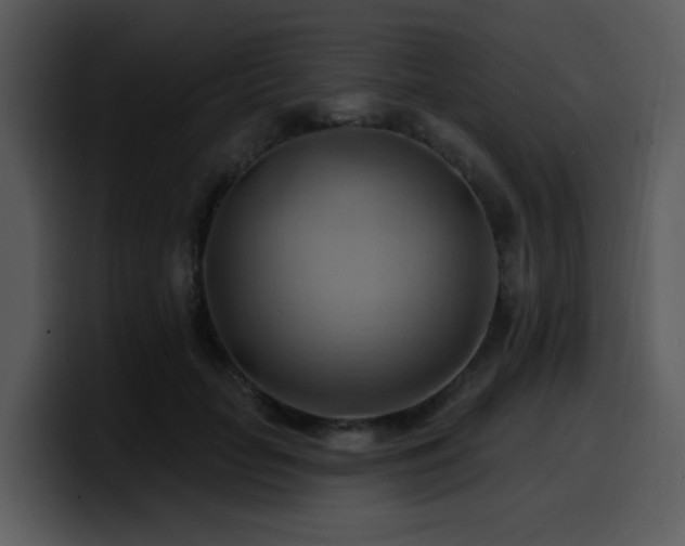 X0000100780653200806191303