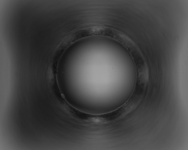 X0000100780654200806191304