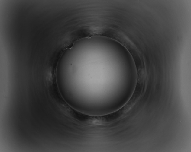 X0000100780655200806191304