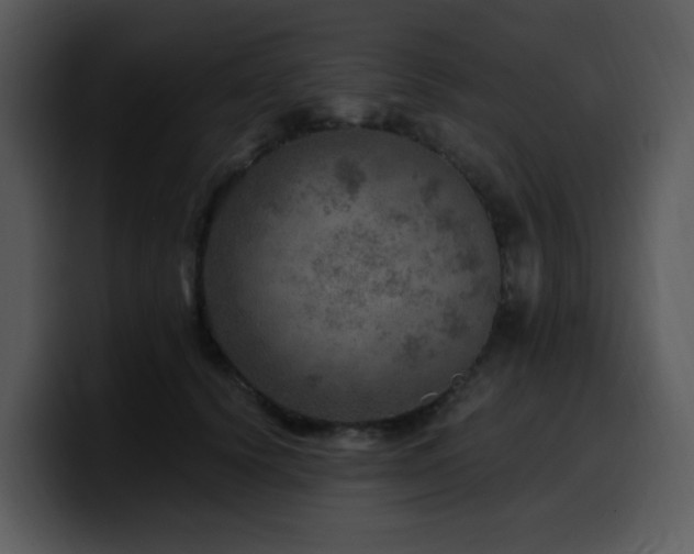 X0000100780656200806191304