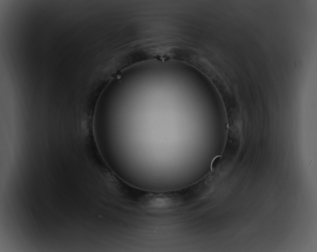 X0000100780658200806191304