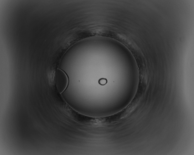 X0000100780660200806191304