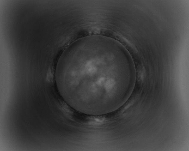 X0000100780661200806191304