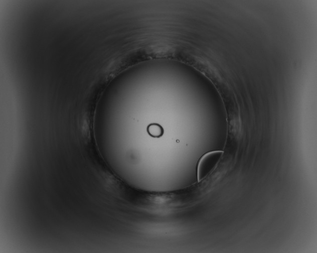 X0000100780662200806191304