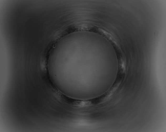 X0000100780663200806191304