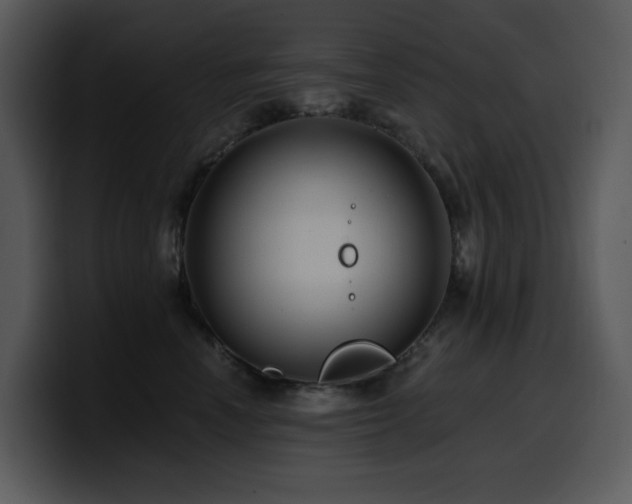 X0000100780666200806191304