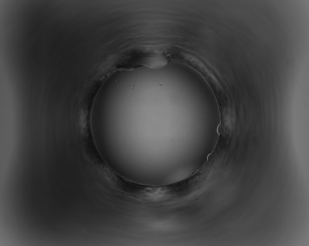 X0000100780667200806191304